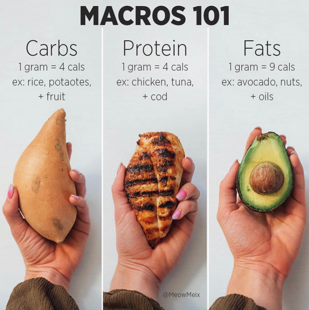 Macros 101: How Tracking Macros Can Help You Achieve Your Goals - MeowMeix