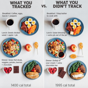 what you tracked for weight loss and what you didn't track