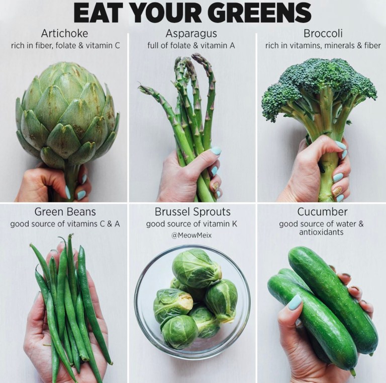 Why You Should Eat a Wide Variety of Green Vegetables - MeowMeix