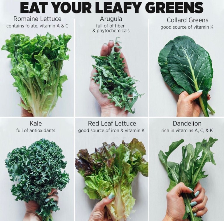 Why You Should Eat a Wide Variety of Green Vegetables - MeowMeix