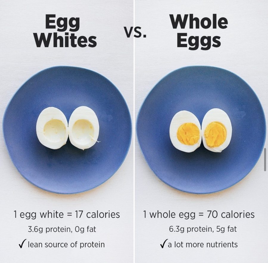 Breaking Down The Egg Meowmeix